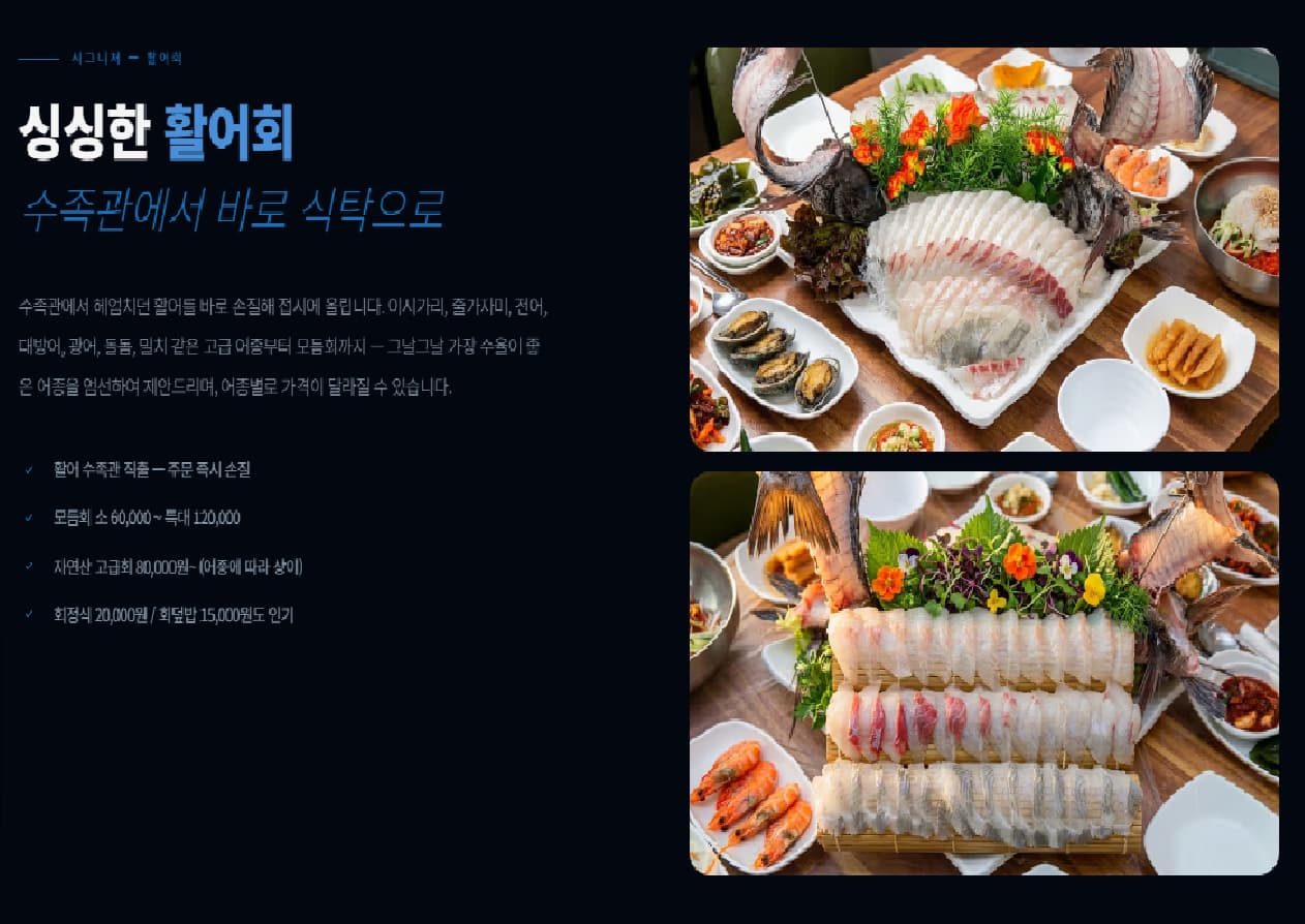 SEO 최적화 결과
