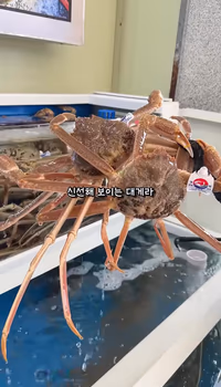 대게 다리 클로즈업